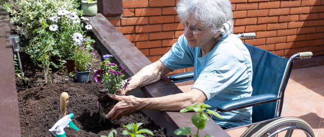 Záhradníctvo pre seniorov: Ako prispôsobiť záhradu pre starších ľudí