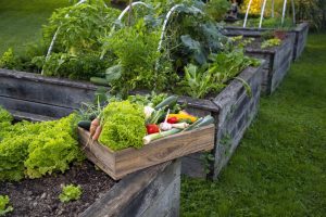 🌱 Foodscaping: Spojenie krásy a úžitku vo vašej záhrade