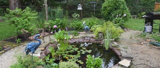 Záhradné jazierko svojpomocne: kompletný návod od kopania po prvé ryby