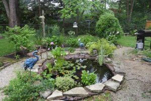 Záhradné jazierko svojpomocne: kompletný návod od kopania po prvé ryby